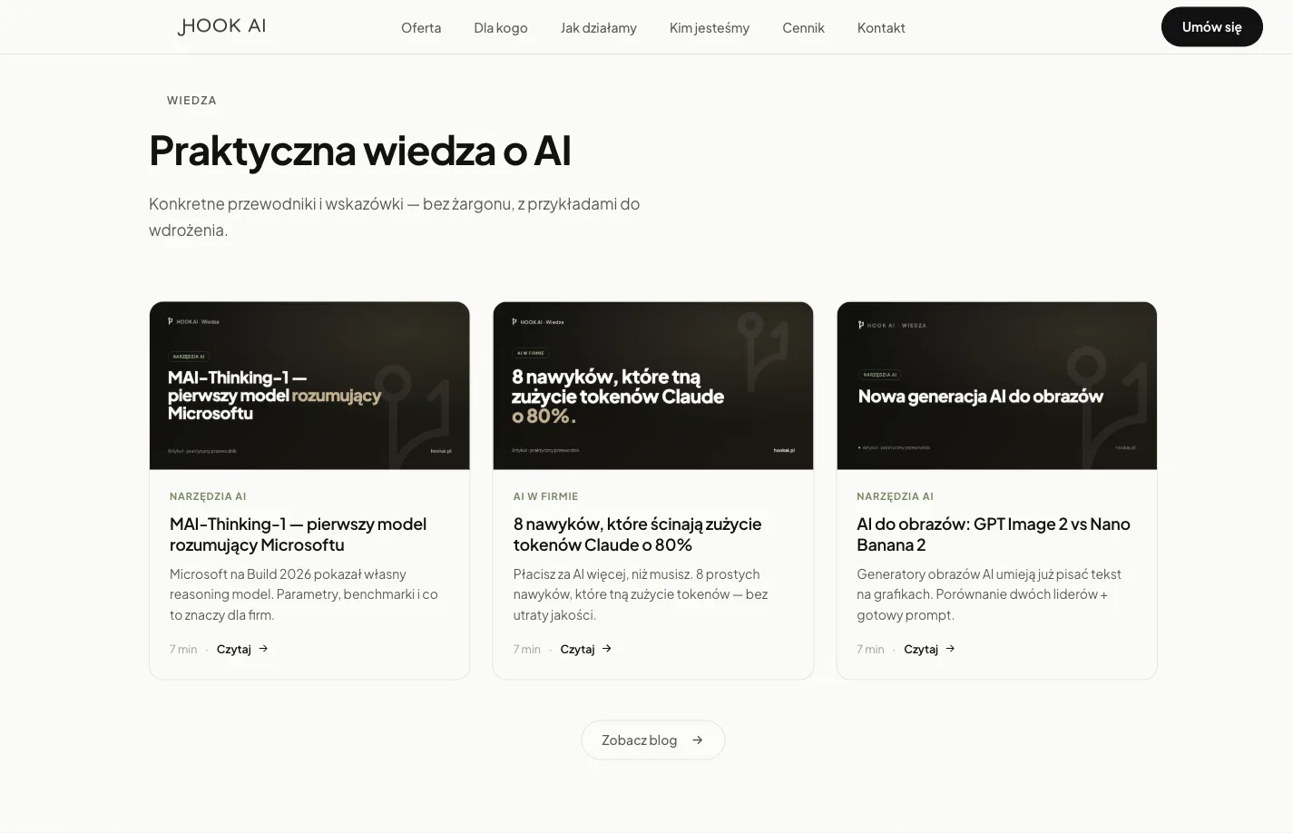 HOOK AI - sekcja oferty, praktyczna wiedza o AI dla biznesu